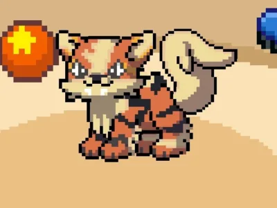 Coustom Pokémon