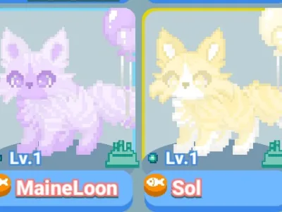 MaineLoon - Swapping or Selling