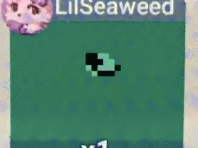 Selling Lil seaweed mouth